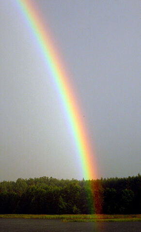 File:Ohohohoho.jpg