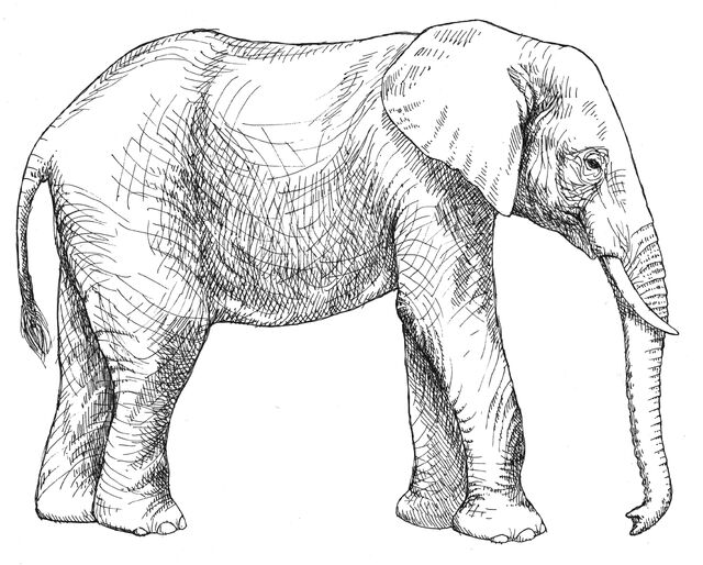 File:Game.jpg