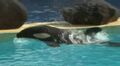 Thumbnail for version as of 20:56, August 17, 2012