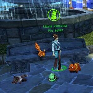 Pet seller