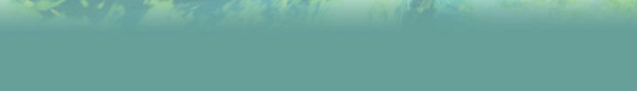 File:Tbg2.png