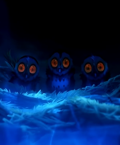 File:Owlets.png