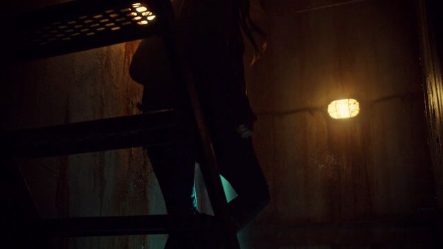 File:OrphanBlackS01E092042.jpg