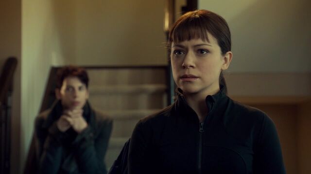 File:OrphanBlackS01E091022.jpg
