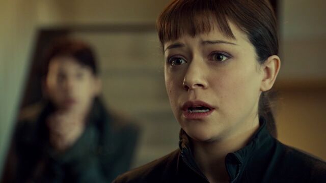 File:OrphanBlackS01E091077.jpg