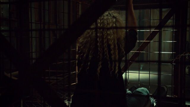 File:OrphanBlackS01E090793.jpg