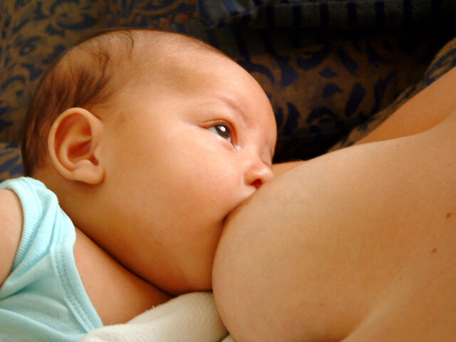 File:Poppante allattato Seno.jpg