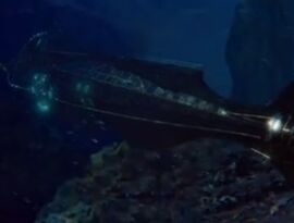 Nautilus