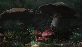MagicMushroom