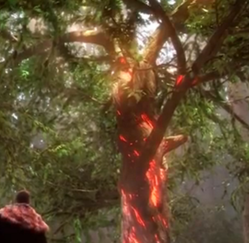 File:Tree of Wisdom.png