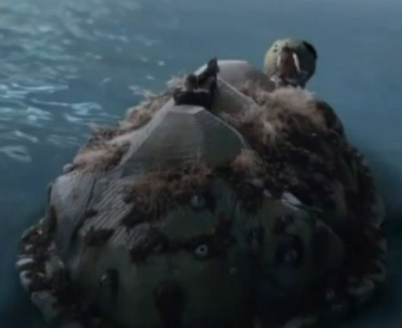 File:Mock Turtle1.png