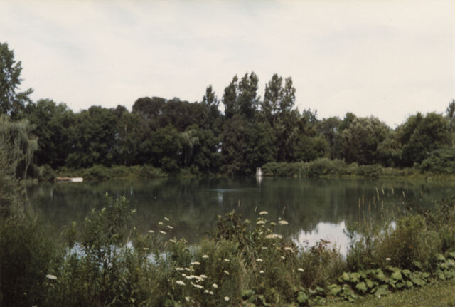 File:2010OL001.045.jpg