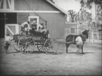 Pleasant Vale Farm
