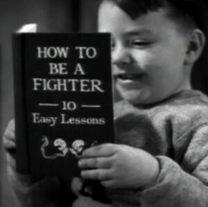 Fighter