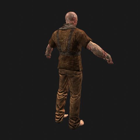 File:Patient2 perspBack.jpeg