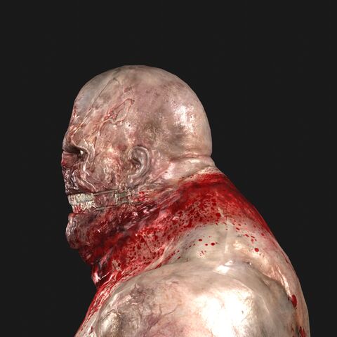File:WalkerHeadSide.jpeg