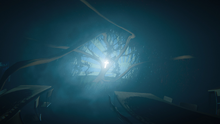 RootsAndBranches