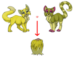 Breeding