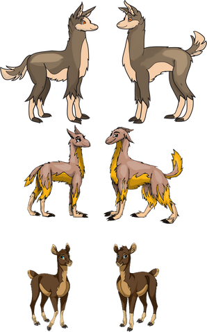 File:Evolution of the pacos by mf99k.png