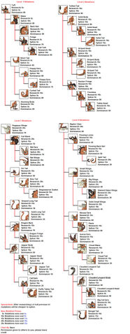 File:Macropus mutations chart.jpg
