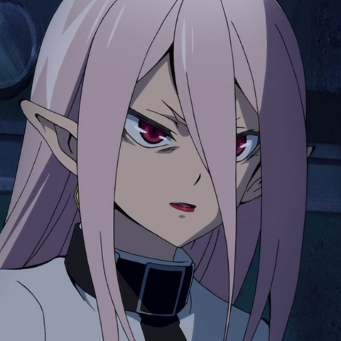 Datei:Noin Profil.png