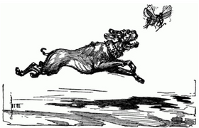 Toto Butterfly