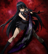 Akame Heroes Wiki Fandom Powered By Wikia