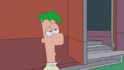Ferb.jpg