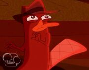 Perry a.jpg