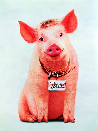 Image result for pig babe