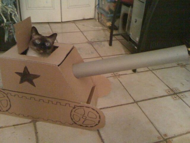 File:Cattank.jpg