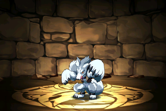 Pet587