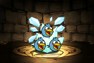Pet951.png