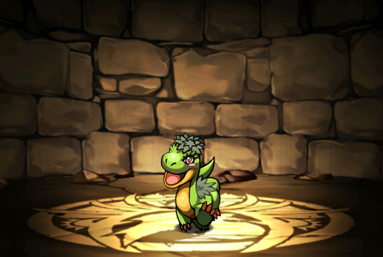 Pet009