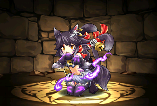 Pet427