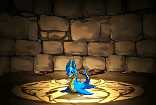 Pet005
