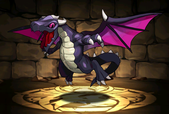 Pet728