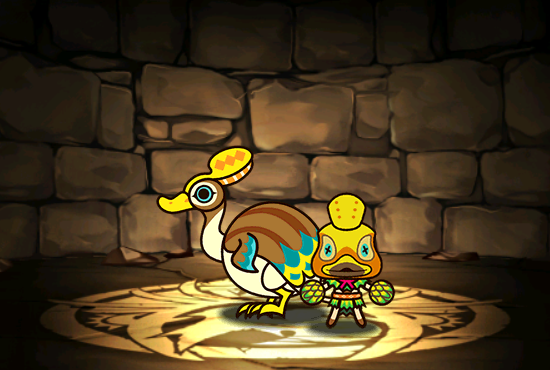 Pet861