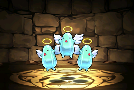 Pet507