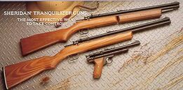 Dartguns.jpg
