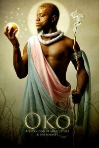 Oko.jpeg