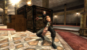 Dark Ninja in Opera House