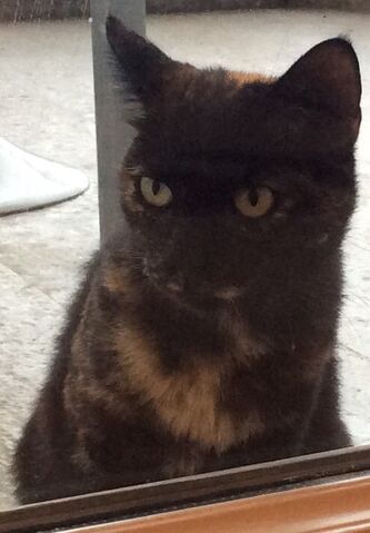 File:Cutie.jpg