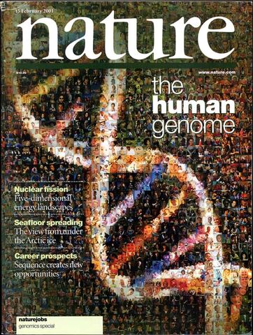 File:NatureCover2001.jpg