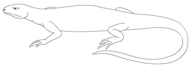 File:Gator7658.png