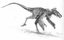 Sinornithosaurus