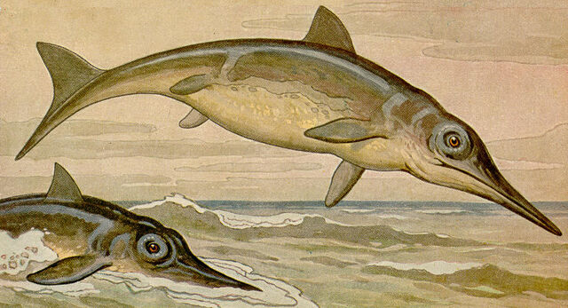 File:Ichthyosaurus h harder.jpg