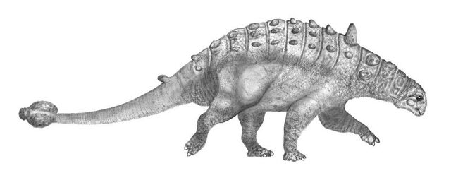 File:Euoplocephalus.jpg