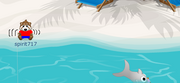 Sharkcoconutbeach