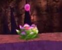 Bubble Plant